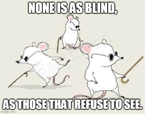 Dunning-Kruger Effect | NONE IS AS BLIND, AS THOSE THAT REFUSE TO SEE. | image tagged in blind mice | made w/ Imgflip meme maker