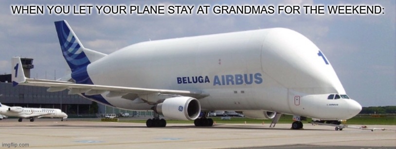 What happened to that plane | WHEN YOU LET YOUR PLANE STAY AT GRANDMAS FOR THE WEEKEND: | image tagged in grandma,airplane | made w/ Imgflip meme maker