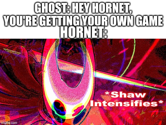 hornet was then put in quarantine till december | GHOST: HEY HORNET, YOU'RE GETTING YOUR OWN GAME; HORNET: | image tagged in memes,idk,bruh | made w/ Imgflip meme maker