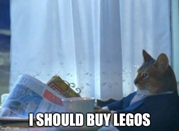 I Should Buy A Boat Cat Meme | I SHOULD BUY LEGOS | image tagged in memes,i should buy a boat cat | made w/ Imgflip meme maker