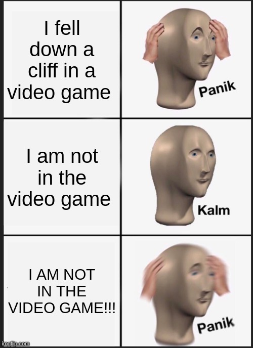 not in video game | I fell down a cliff in a video game; I am not in the video game; I AM NOT IN THE VIDEO GAME!!! | image tagged in memes,panik kalm panik | made w/ Imgflip meme maker