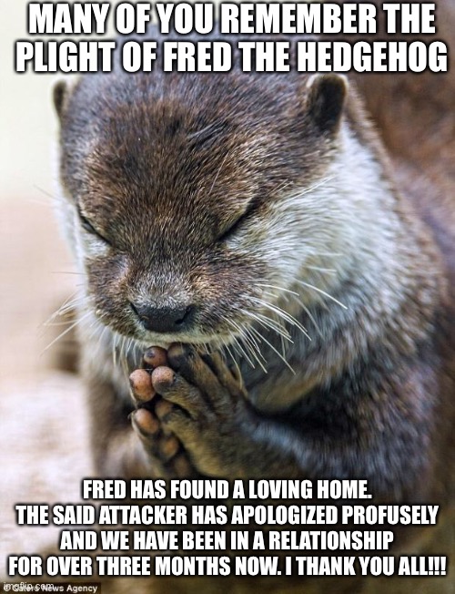 THANK YOU! | MANY OF YOU REMEMBER THE PLIGHT OF FRED THE HEDGEHOG; FRED HAS FOUND A LOVING HOME. THE SAID ATTACKER HAS APOLOGIZED PROFUSELY AND WE HAVE BEEN IN A RELATIONSHIP FOR OVER THREE MONTHS NOW. I THANK YOU ALL!!! | image tagged in thank you lord otter | made w/ Imgflip meme maker