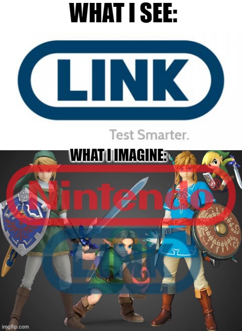 Anybody Else | WHAT I SEE:; WHAT I IMAGINE: | image tagged in nintendo | made w/ Imgflip meme maker