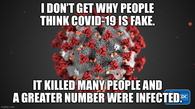 COVID: we need to talk about it | I DON’T GET WHY PEOPLE THINK COVID-19 IS FAKE. IT KILLED MANY PEOPLE AND A GREATER NUMBER WERE INFECTED. | image tagged in covid 19 | made w/ Imgflip meme maker