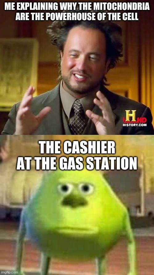 Confused | ME EXPLAINING WHY THE MITOCHONDRIA ARE THE POWERHOUSE OF THE CELL; THE CASHIER AT THE GAS STATION | image tagged in memes,ancient aliens | made w/ Imgflip meme maker