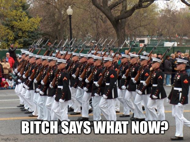 Marines | BITCH SAYS WHAT NOW? | image tagged in marines | made w/ Imgflip meme maker