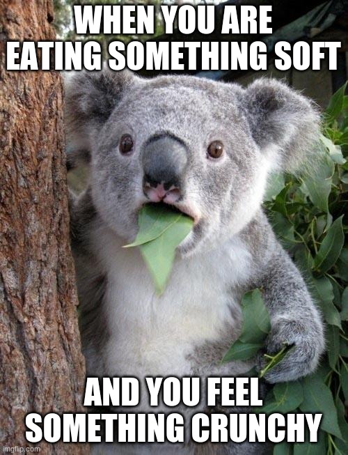 Suprised Koala | WHEN YOU ARE EATING SOMETHING SOFT; AND YOU FEEL SOMETHING CRUNCHY | image tagged in suprised koala | made w/ Imgflip meme maker