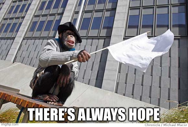 Surrender Monkey | THERE’S ALWAYS HOPE | image tagged in surrender monkey | made w/ Imgflip meme maker