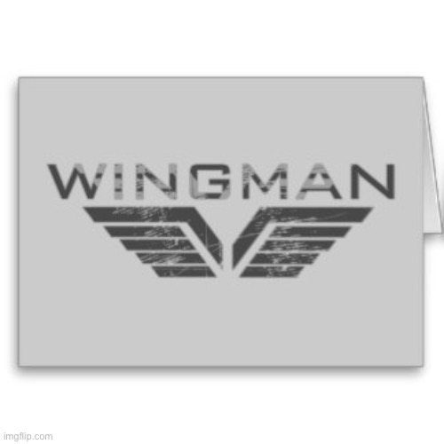 wingman_DENIED | image tagged in wingman_denied | made w/ Imgflip meme maker