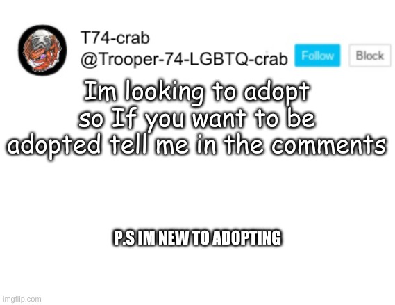 Finally | Im looking to adopt so If you want to be adopted tell me in the comments; P.S IM NEW TO ADOPTING | image tagged in adoption | made w/ Imgflip meme maker