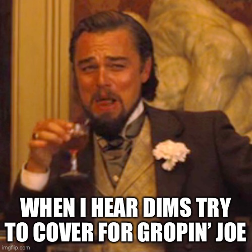 For real though, he thought Trump was Dubya. | WHEN I HEAR DIMS TRY TO COVER FOR GROPIN’ JOE | image tagged in memes,laughing leo | made w/ Imgflip meme maker