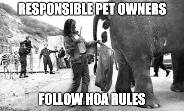 Elephant Poop Bad Day | RESPONSIBLE PET OWNERS; FOLLOW HOA RULES | image tagged in elephant poop bad day | made w/ Imgflip meme maker