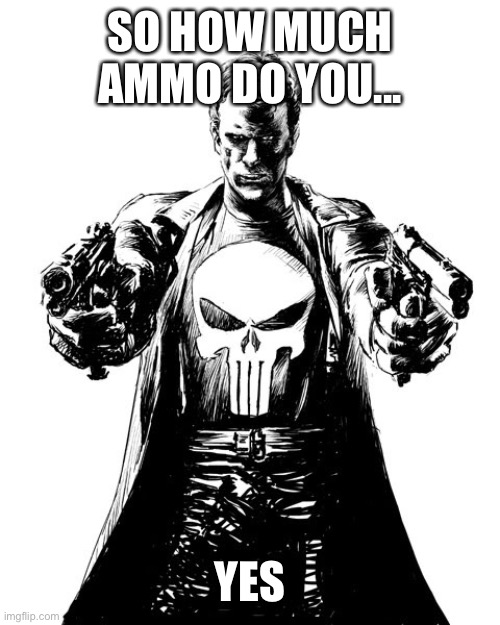 Punisher | SO HOW MUCH AMMO DO YOU... YES | image tagged in punisher | made w/ Imgflip meme maker