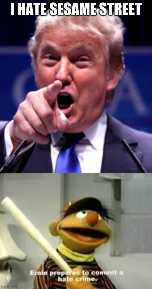 I HATE SESAME STREET | image tagged in trump trademark,ernie prepares to commit a hate crime | made w/ Imgflip meme maker
