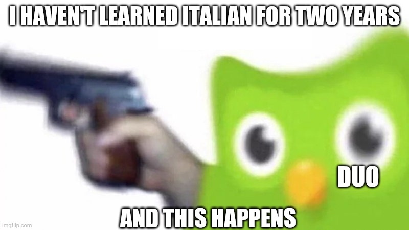 duolingo gun | I HAVEN'T LEARNED ITALIAN FOR TWO YEARS; DUO; AND THIS HAPPENS | image tagged in duolingo gun | made w/ Imgflip meme maker