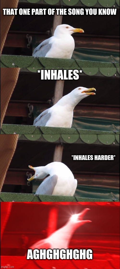 Inhaling Seagull | THAT ONE PART OF THE SONG YOU KNOW; *INHALES*; *INHALES HARDER*; AGHGHGHGHG | image tagged in memes,inhaling seagull | made w/ Imgflip meme maker