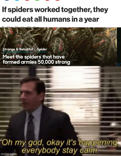 It’s happening guys.  Get the flame throwers. | image tagged in oh my god okay it's happening everybody stay calm,spiders,funny | made w/ Imgflip meme maker