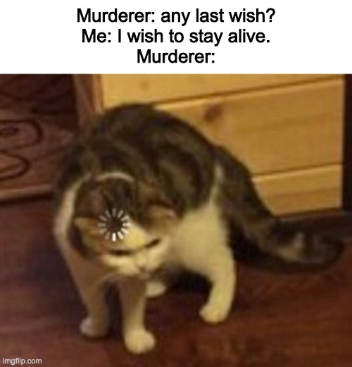 Loading cat | Murderer: any last wish?
Me: I wish to stay alive.
Murderer: | image tagged in loading cat | made w/ Imgflip meme maker