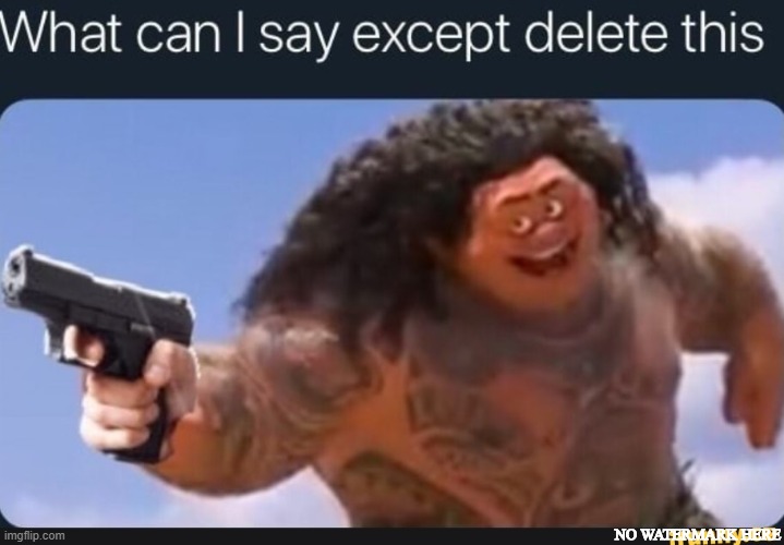 What can I say except delete this | NO WATERMARK HERE | image tagged in what can i say except delete this | made w/ Imgflip meme maker