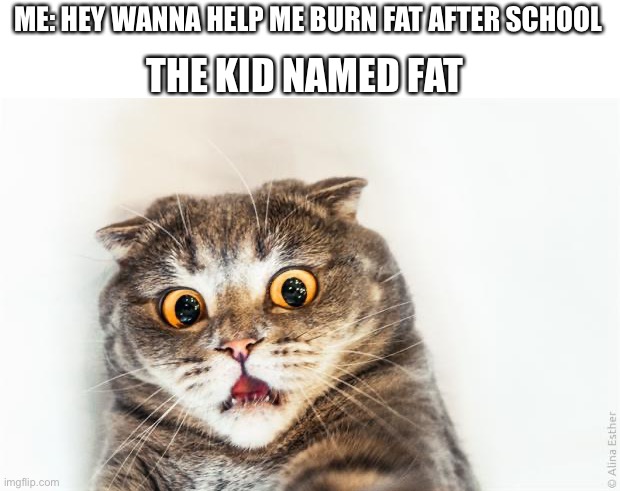 horrified cat |  ME: HEY WANNA HELP ME BURN FAT AFTER SCHOOL; THE KID NAMED FAT | image tagged in horrified cat | made w/ Imgflip meme maker