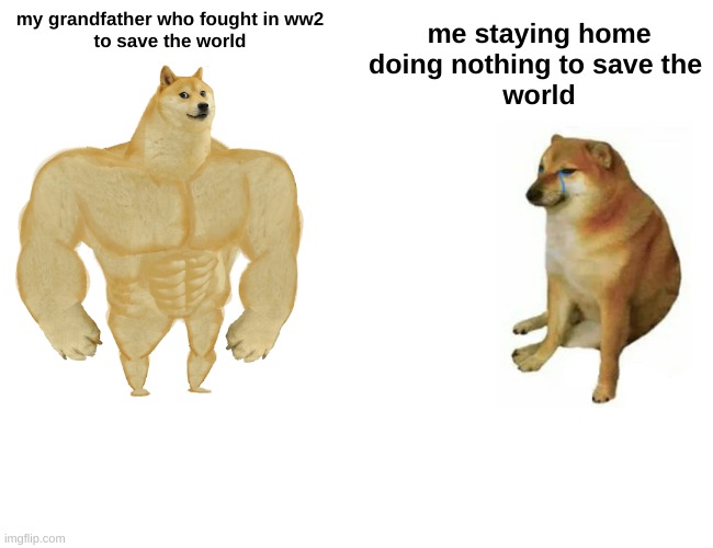 Buff Doge vs. Cheems Meme | my grandfather who fought in ww2
to save the world; me staying home doing nothing to save the 
world | image tagged in memes,buff doge vs cheems | made w/ Imgflip meme maker