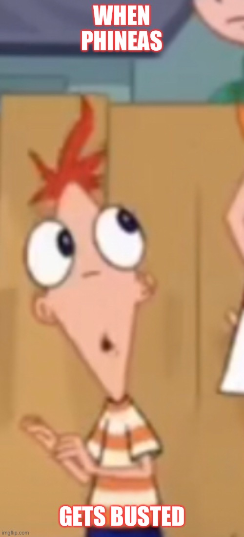When Phineas gets Busted | WHEN PHINEAS; GETS BUSTED | image tagged in phineas and ferb | made w/ Imgflip meme maker