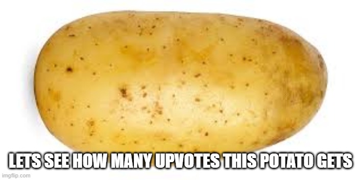 If you upvote potato man shall bless you | LETS SEE HOW MANY UPVOTES THIS POTATO GETS | image tagged in potato,potato1,potato2,potato3,potato4,potato5 | made w/ Imgflip meme maker