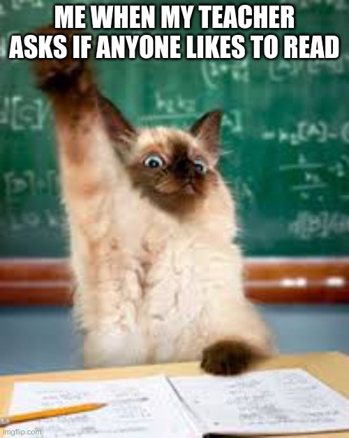 Raised hand cat | ME WHEN MY TEACHER ASKS IF ANYONE LIKES TO READ | image tagged in raised hand cat | made w/ Imgflip meme maker