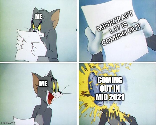 yea mid 2021 | MINECRAFT 1.17 IS COMING OUT; ME; COMING OUT IN MID 2021; ME | image tagged in tom pie in the face | made w/ Imgflip meme maker