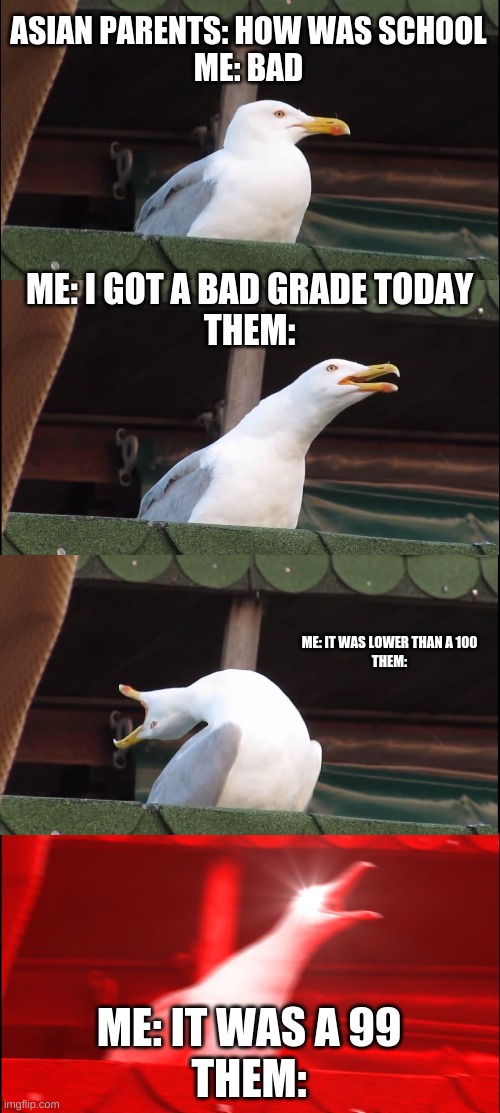 Inhaling Seagull | ASIAN PARENTS: HOW WAS SCHOOL
ME: BAD; ME: I GOT A BAD GRADE TODAY
THEM:; ME: IT WAS LOWER THAN A 100
THEM:; ME: IT WAS A 99
THEM: | image tagged in memes,inhaling seagull | made w/ Imgflip meme maker