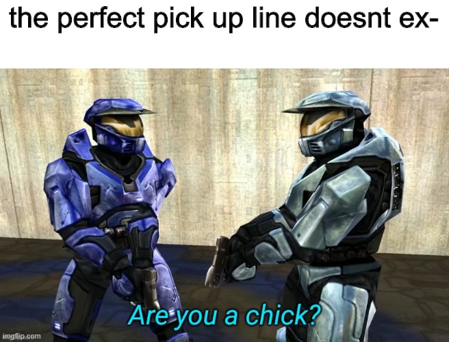 are u a chick | the perfect pick up line doesnt ex- | image tagged in are you a chick | made w/ Imgflip meme maker