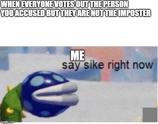 This happened to me and they thought I was a imposter accusing a crewmate | WHEN EVERYONE VOTES OUT THE PERSON YOU ACCUSED BUT THEY ARE NOT THE IMPOSTER; ME | image tagged in say sike right now | made w/ Imgflip meme maker