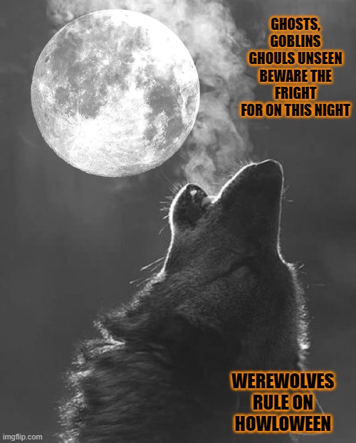 Howloween | GHOSTS, GOBLINS
GHOULS UNSEEN
BEWARE THE FRIGHT
FOR ON THIS NIGHT; WEREWOLVES
RULE ON
HOWLOWEEN | image tagged in halloween,wolf,werewolf,holiday | made w/ Imgflip meme maker