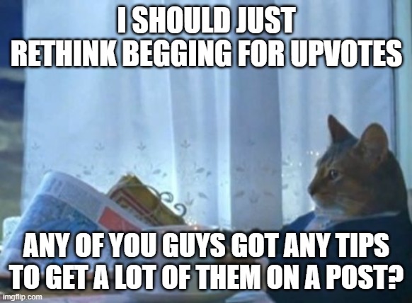 Ideas? | I SHOULD JUST RETHINK BEGGING FOR UPVOTES; ANY OF YOU GUYS GOT ANY TIPS TO GET A LOT OF THEM ON A POST? | image tagged in memes,i should buy a boat cat | made w/ Imgflip meme maker