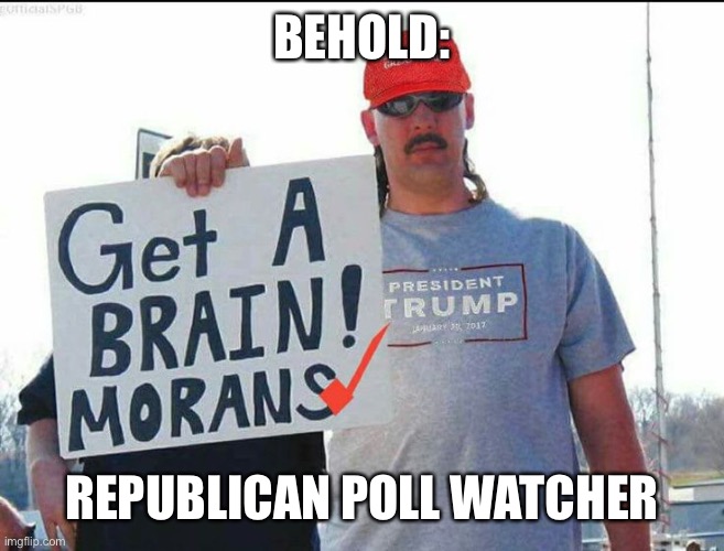 trump supporter | BEHOLD:; REPUBLICAN POLL WATCHER | image tagged in trump supporter,memes | made w/ Imgflip meme maker