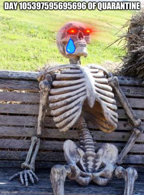 Waiting Skeleton | DAY 105397595695696 OF QUARANTINE | image tagged in memes,waiting skeleton | made w/ Imgflip meme maker