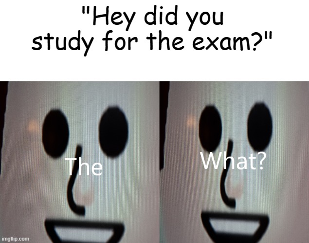 What exam? | "Hey did you study for the exam?" | image tagged in the what mii edition,the what | made w/ Imgflip meme maker