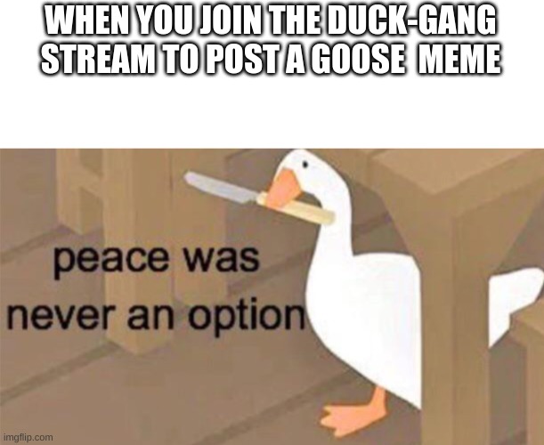 Duck Rule!!!!!!!!!! |  WHEN YOU JOIN THE DUCK-GANG STREAM TO POST A GOOSE  MEME | image tagged in untitled goose peace was never an option | made w/ Imgflip meme maker
