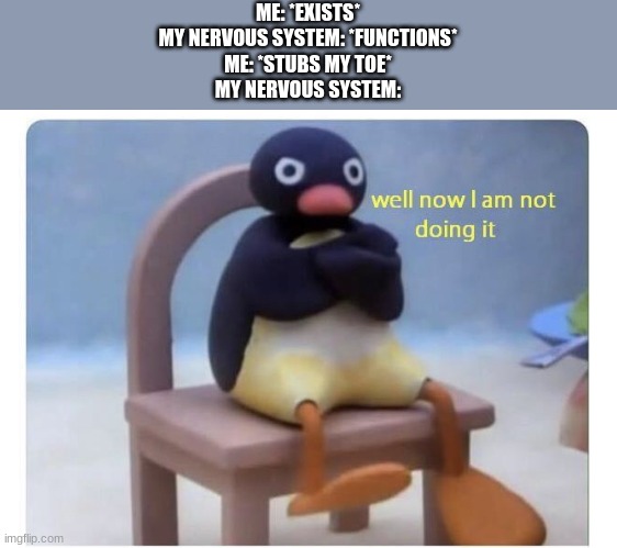 R.I.P. Nervous system | ME: *EXISTS*
MY NERVOUS SYSTEM: *FUNCTIONS*
ME: *STUBS MY TOE*
MY NERVOUS SYSTEM: | image tagged in well now i am not doing it,memes,funny | made w/ Imgflip meme maker