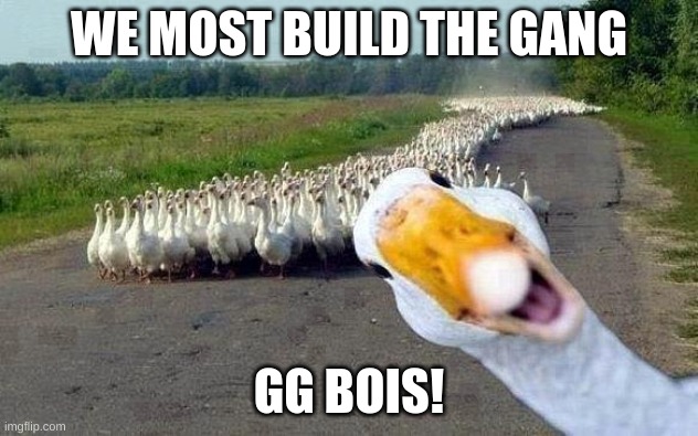 build up | WE MOST BUILD THE GANG; GG BOIS! | image tagged in goose | made w/ Imgflip meme maker
