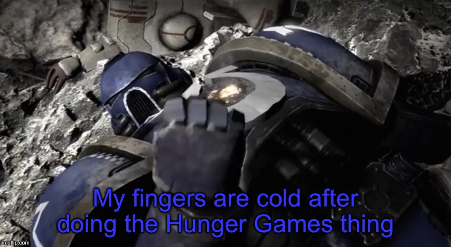 I have a f***ing x | My fingers are cold after doing the Hunger Games thing | image tagged in i have a f ing x,hunger games | made w/ Imgflip meme maker