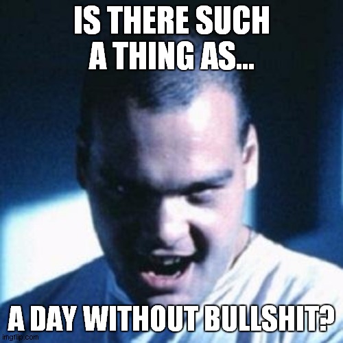 Private Pyle | IS THERE SUCH A THING AS... A DAY WITHOUT BULLSHIT? | image tagged in private pyle | made w/ Imgflip meme maker