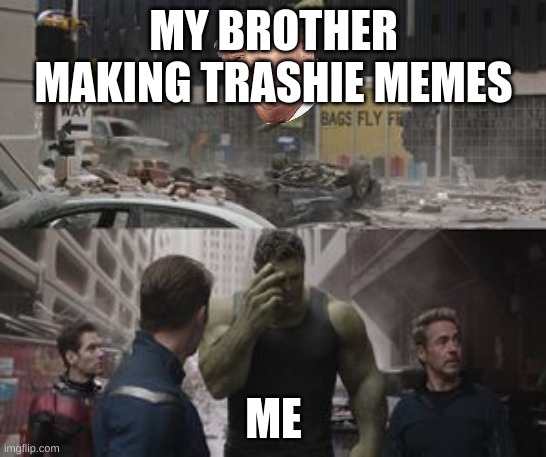 Regretful Hulk | MY BROTHER MAKING TRASHIE MEMES; ME | image tagged in regretful hulk | made w/ Imgflip meme maker
