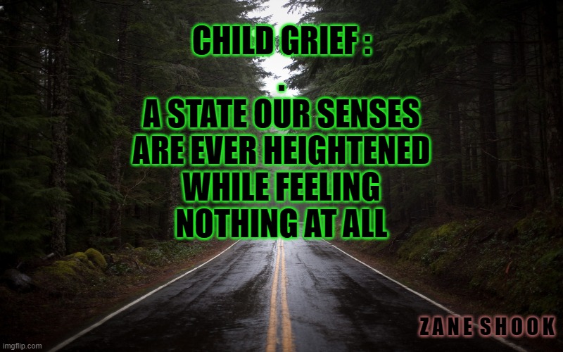State of grief | CHILD GRIEF :
.
A STATE OUR SENSES
ARE EVER HEIGHTENED
WHILE FEELING
NOTHING AT ALL; Z A N E  S H O O K | image tagged in grief,sorrow,loss,life,love | made w/ Imgflip meme maker