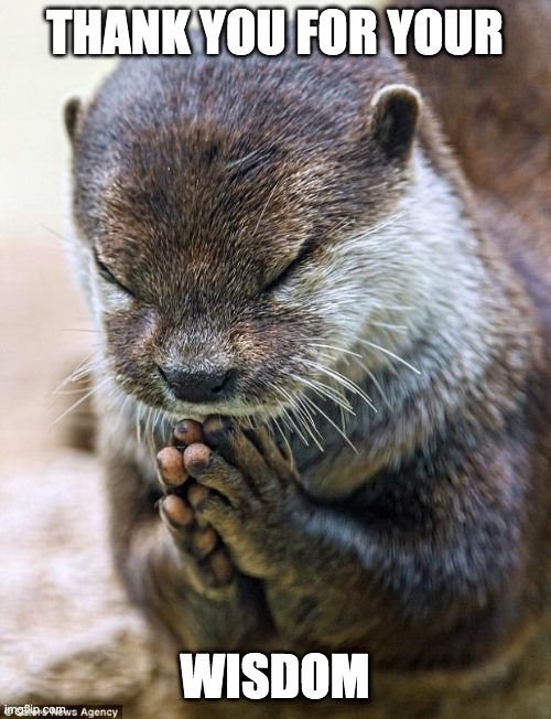 Thank you Lord Otter | THANK YOU FOR YOUR WISDOM | image tagged in thank you lord otter | made w/ Imgflip meme maker
