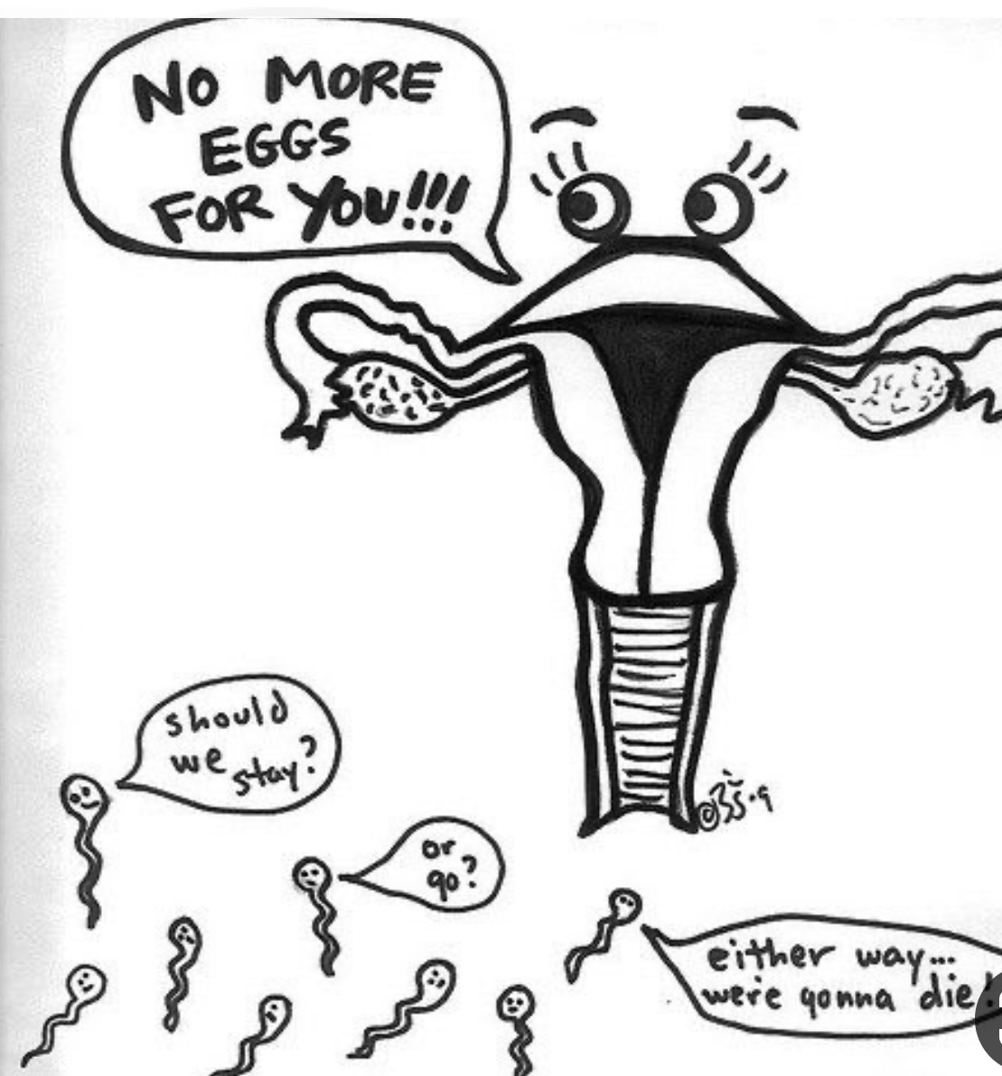 Fallopian tube trouble Blank Meme Template