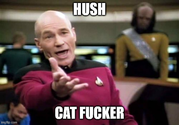 Picard Wtf Meme | HUSH CAT FUCKER | image tagged in memes,picard wtf | made w/ Imgflip meme maker