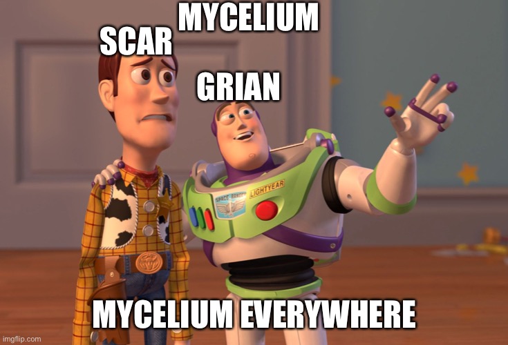 Hermitcraft Mycelium turf war in a nutshell | MYCELIUM; SCAR; GRIAN; MYCELIUM EVERYWHERE | image tagged in memes,x x everywhere | made w/ Imgflip meme maker