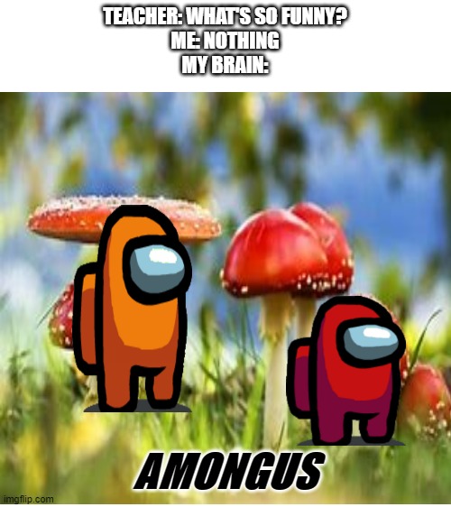 amongus | TEACHER: WHAT'S SO FUNNY?
ME: NOTHING
MY BRAIN:; AMONGUS | image tagged in blank white template | made w/ Imgflip meme maker