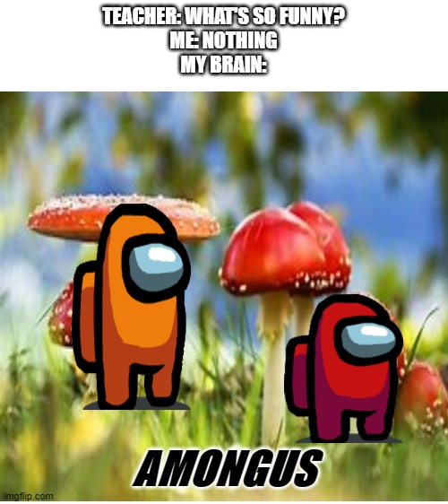 fungus more like amongus | TEACHER: WHAT'S SO FUNNY?
ME: NOTHING
MY BRAIN:; AMONGUS | image tagged in blank white template | made w/ Imgflip meme maker